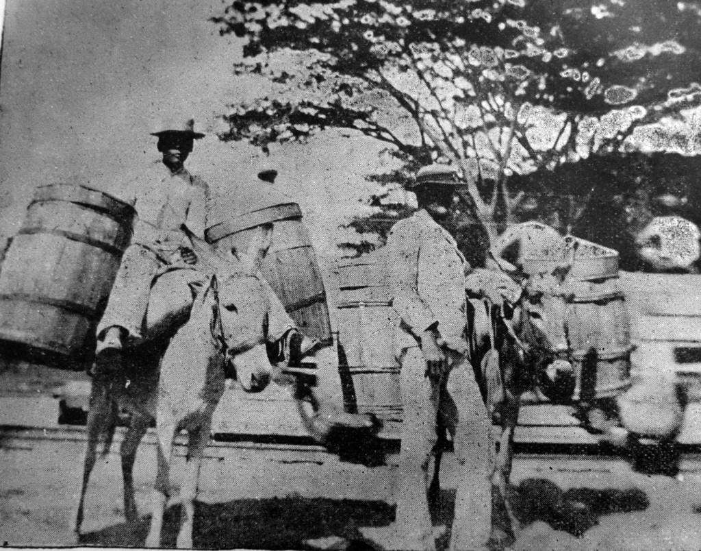 Venezuela de 1900. Imágenes de fin de siglo.